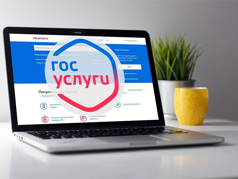 Получение социальных услуг в электронном виде.