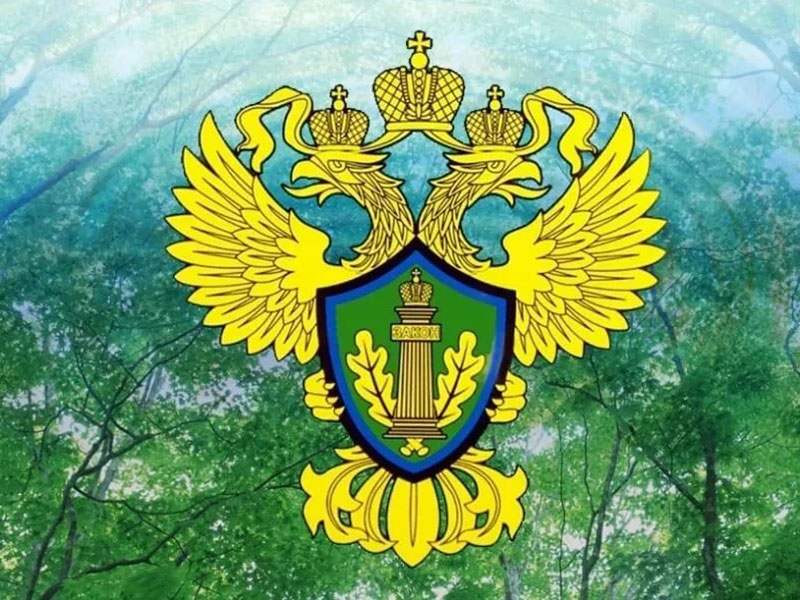 Природоохранная прокуратура информирует.