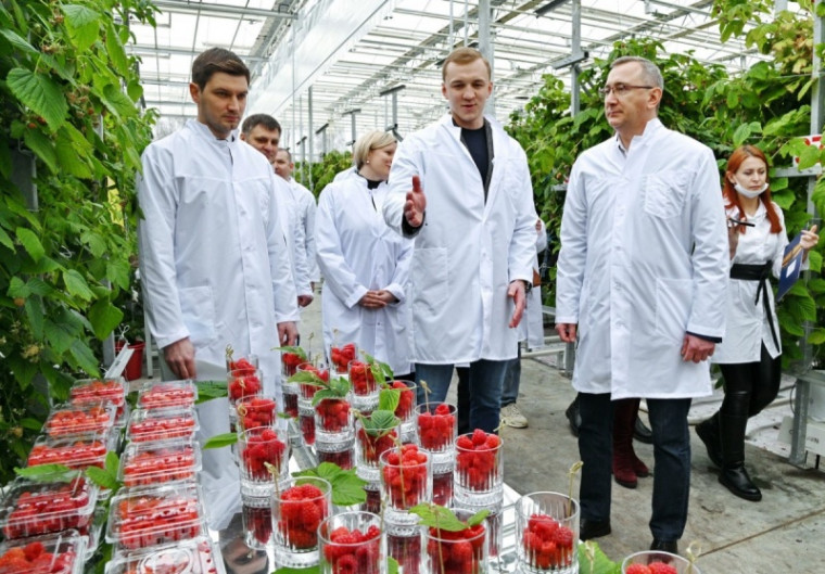 Владислав Шапша принял участие в открытии научно-производственного агрокомплекса по выращиванию малины.