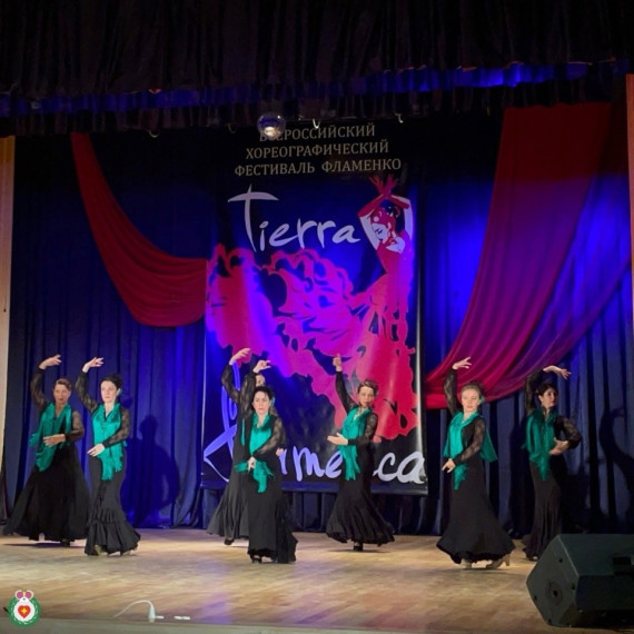 В Боровске уже в шестой раз прошел Межрегиональный хореографический фестиваль фламенко «Tierra flamenca».
